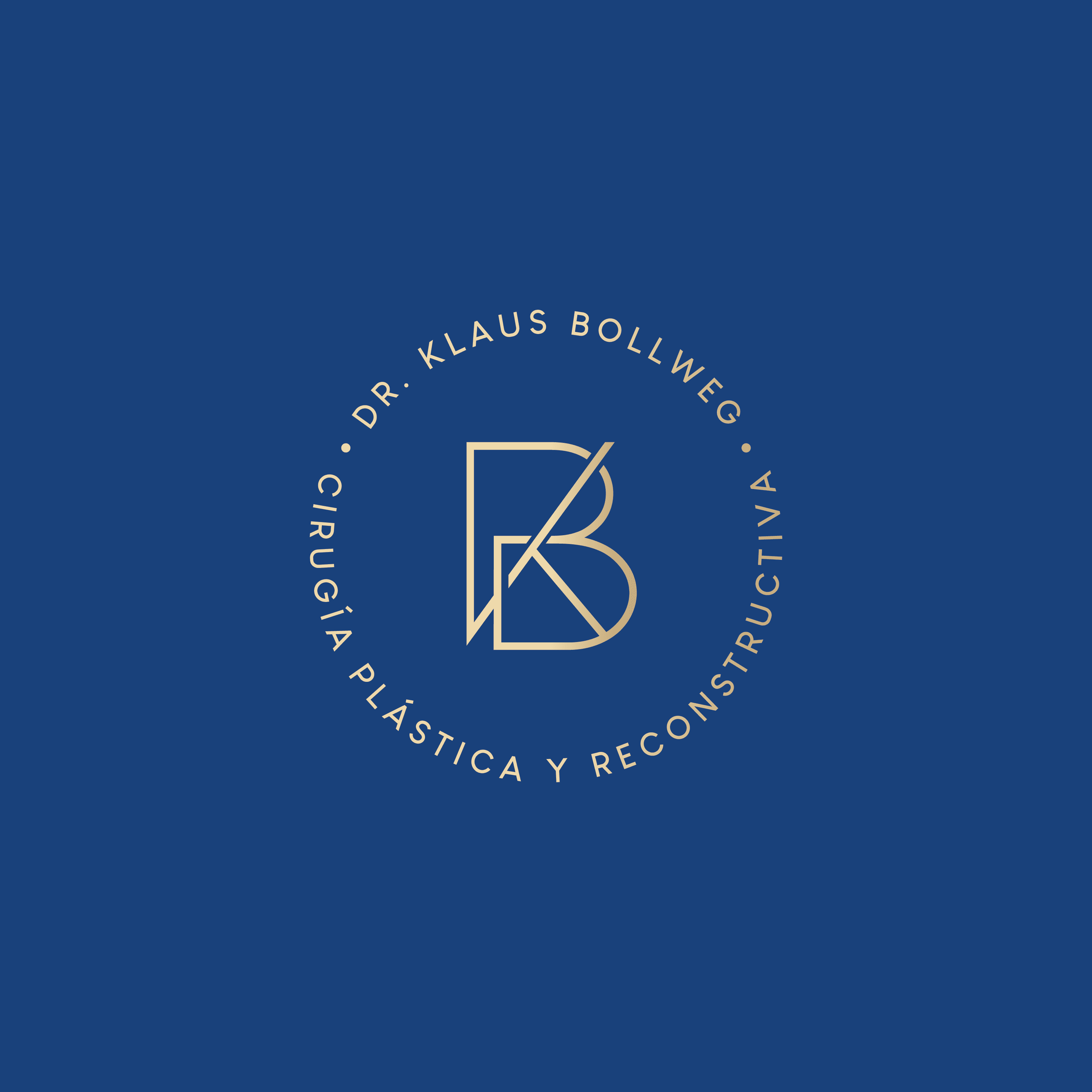Dr. Klaus Bollweg Logo