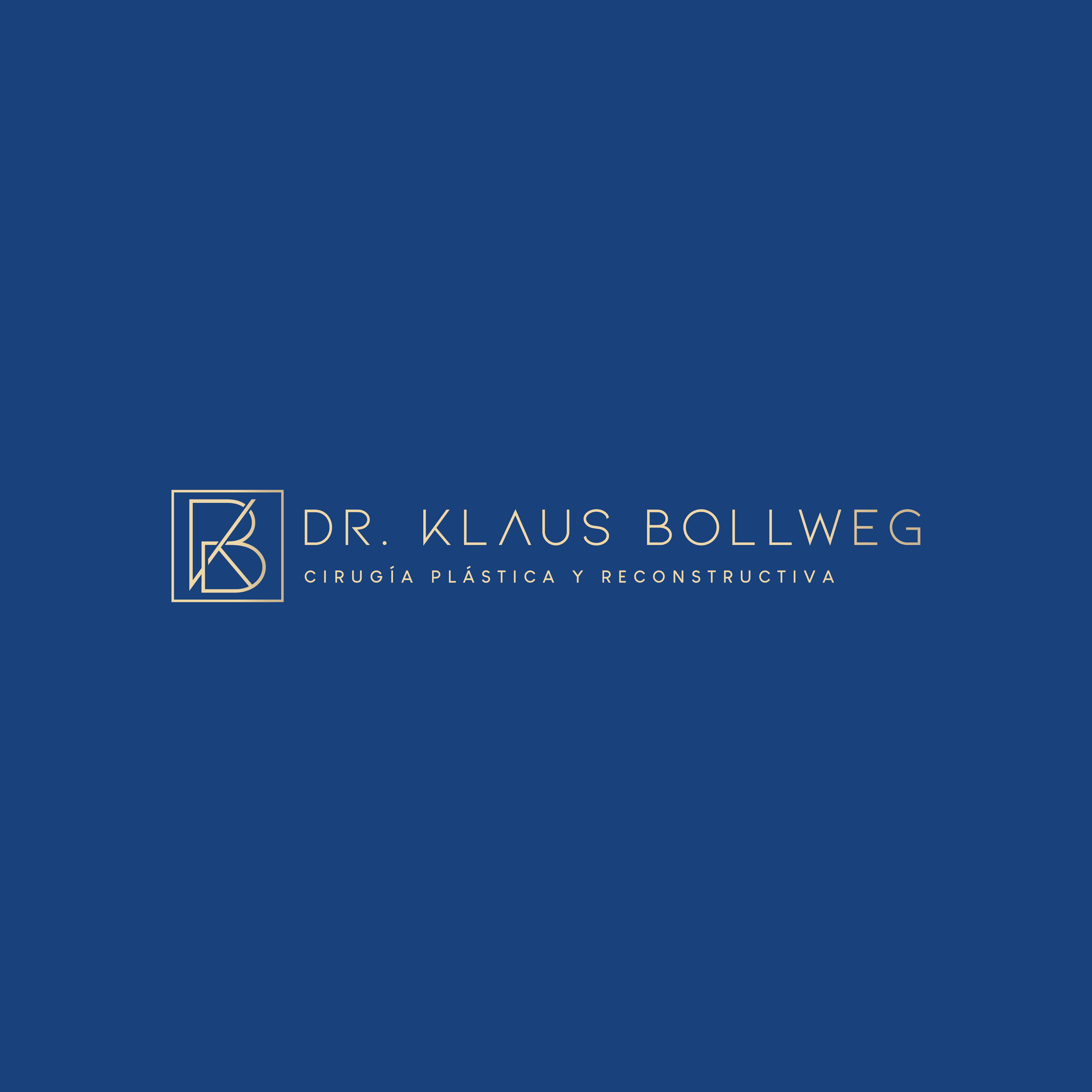 Dr. Klaus Bollweg Logo